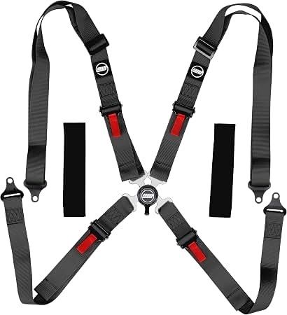 Black racing harness with shoulder and lap straps arranged around a central buckle